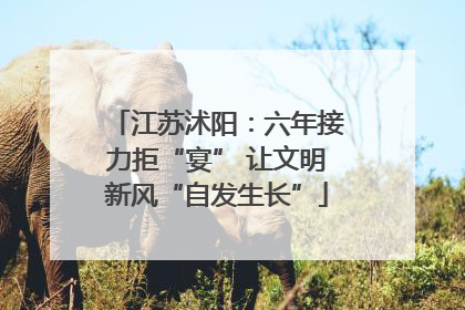 江苏沭阳：六年接力拒“宴” 让文明新风“自发生长”